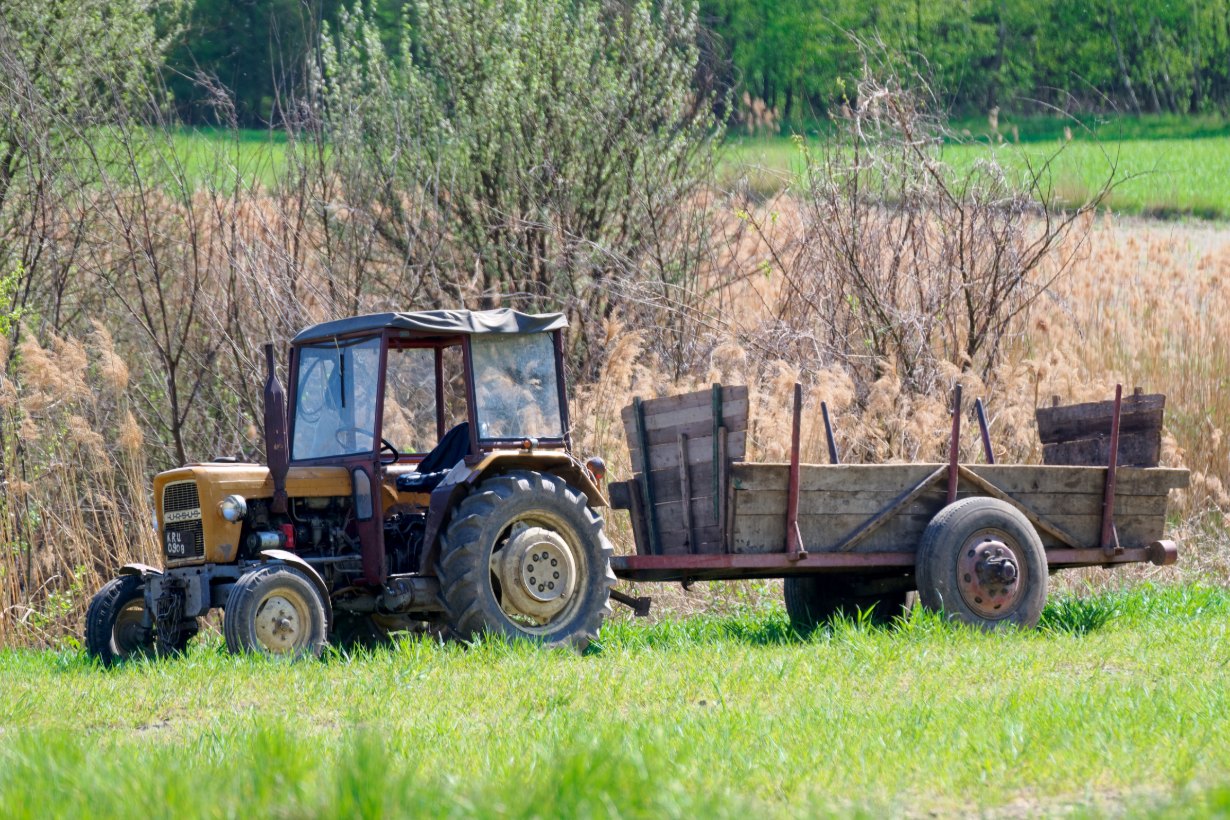 Ciągnik rolniczy Ursus C-330 z drewnianą przyczepą na łące